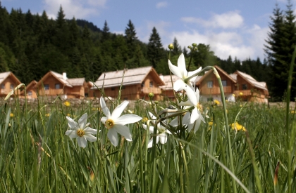 Chalet in den Bergen für Selbstversorger