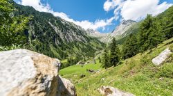 CHALET SASSO NERO | AHRNTAL | SÜDTIROL