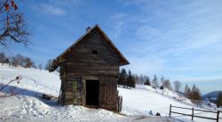 GRUPPENHAUS PROSI | MURTAL | STEIERMARK